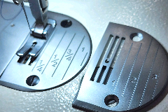 ��ǰ ������